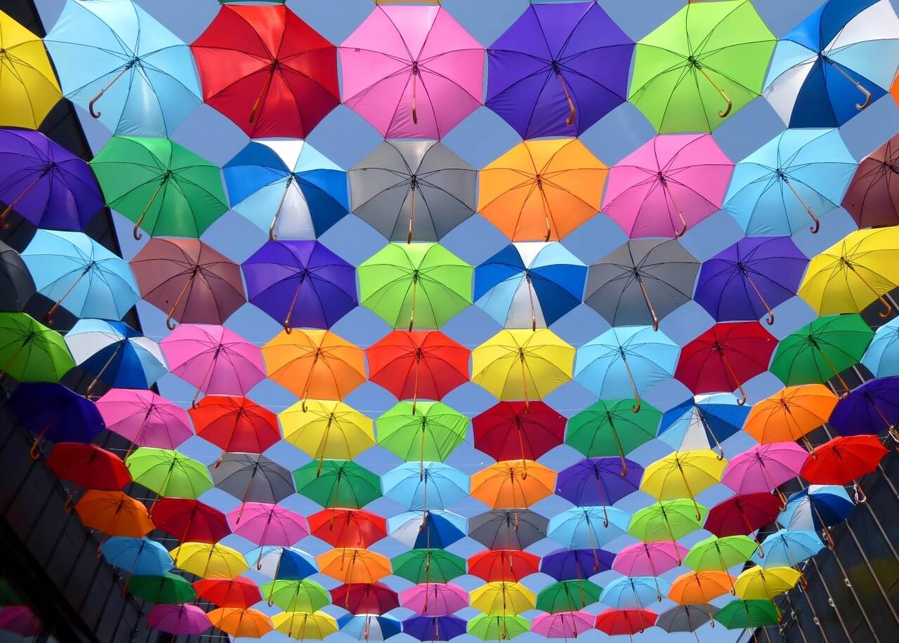 multicolour various umbrella