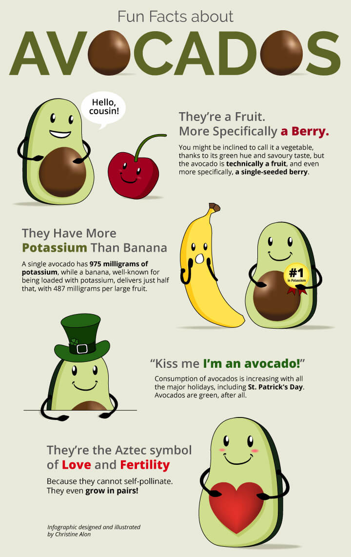 Fun Facts About Avocados by Christine Alon