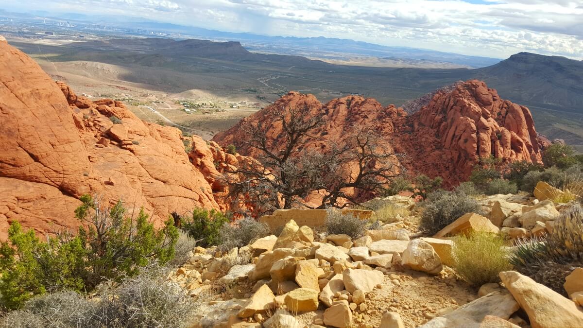 Top of a desert mountain, looking down over some green bushes into the land below