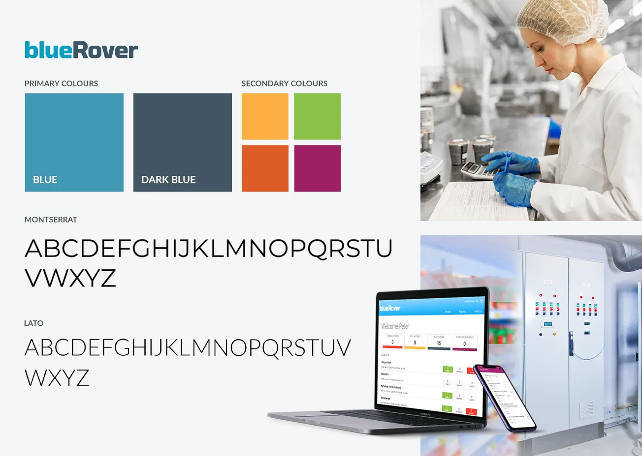 blueRover brand guideline