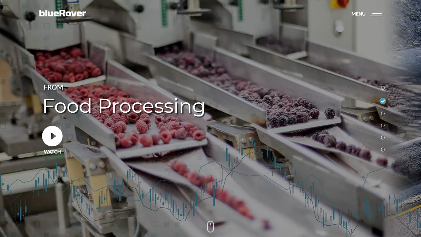 blueRover Homepage Screenshot